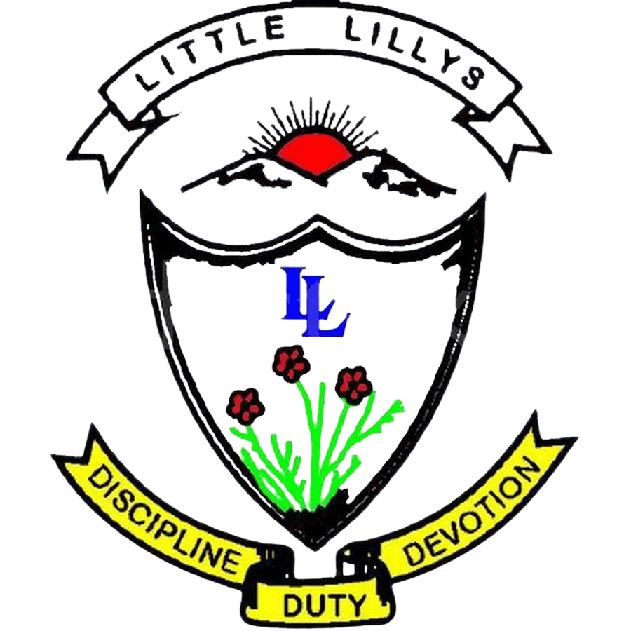 Trusted Partner School Logo